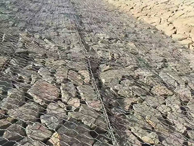 護坡石籠網(wǎng)工程案例圖片4